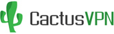 CactusVPN Smart DNS